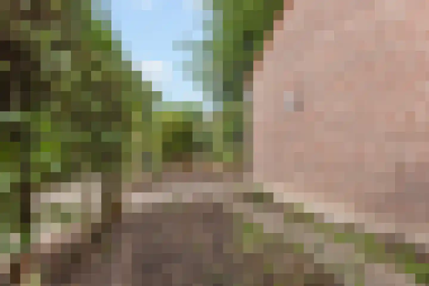 Stootvalk 22 Nieuwegein thumbnail 26