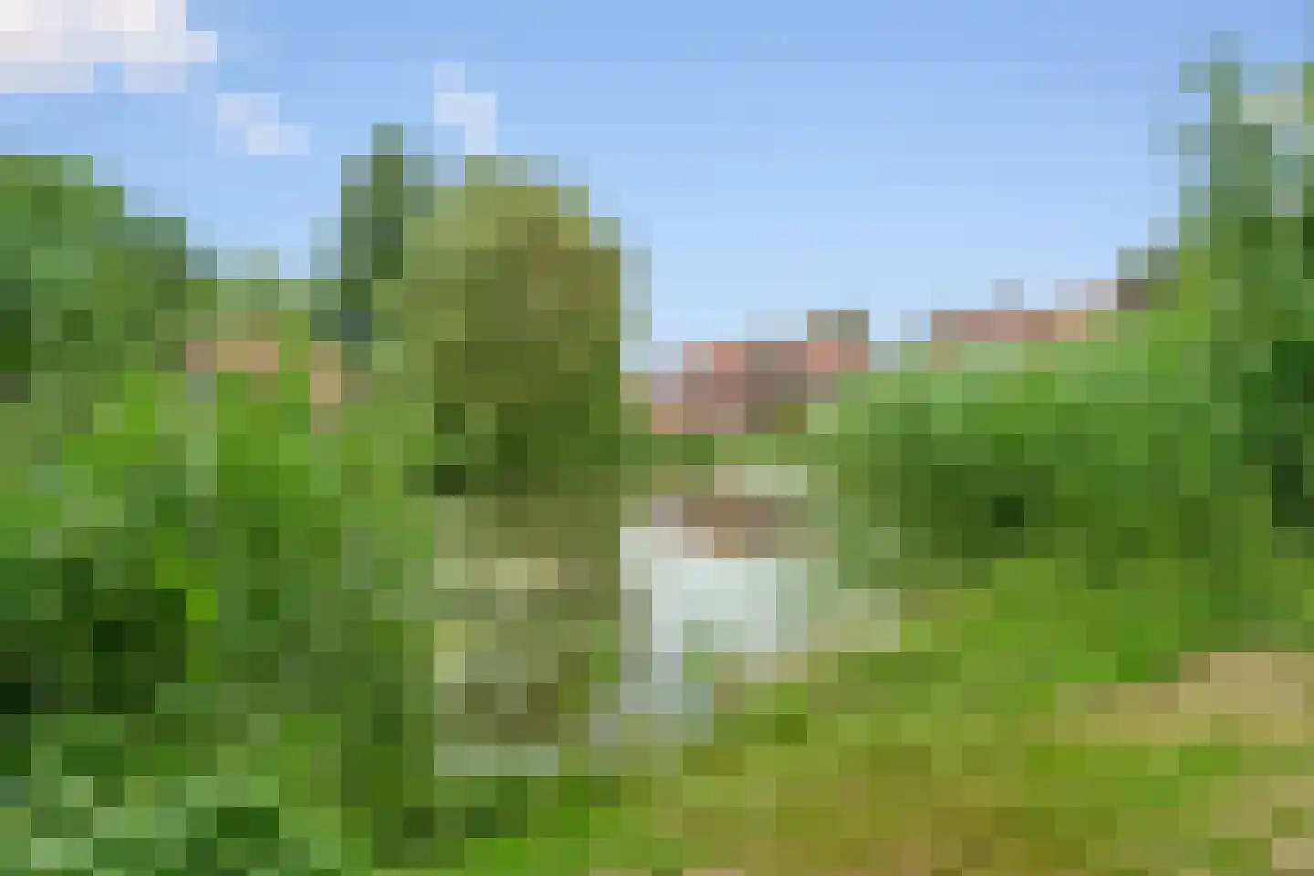 Stootvalk 22 Nieuwegein thumbnail 5