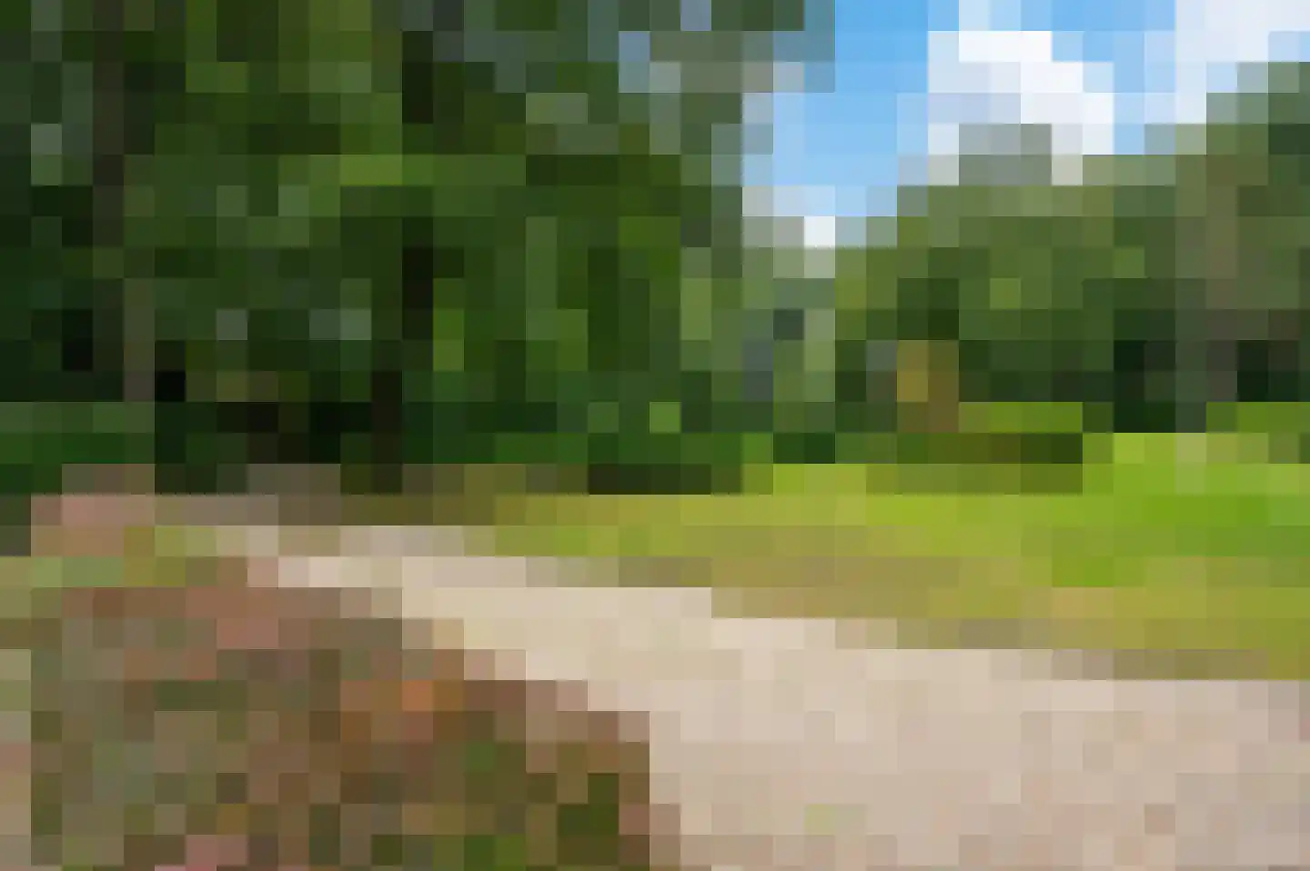 Stoppelbergweg 65 Beekbergen thumbnail 18