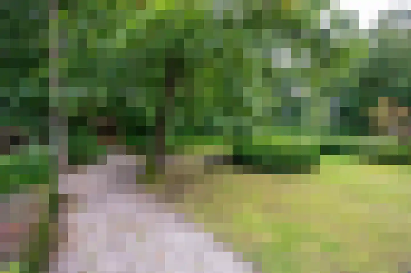 Stoppelbergweg 65 Beekbergen thumbnail 24