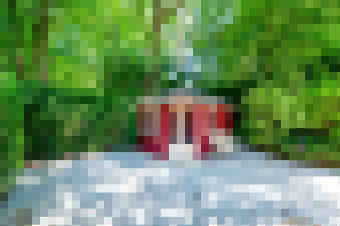 Stoppelbergweg 65 Beekbergen thumbnail 30