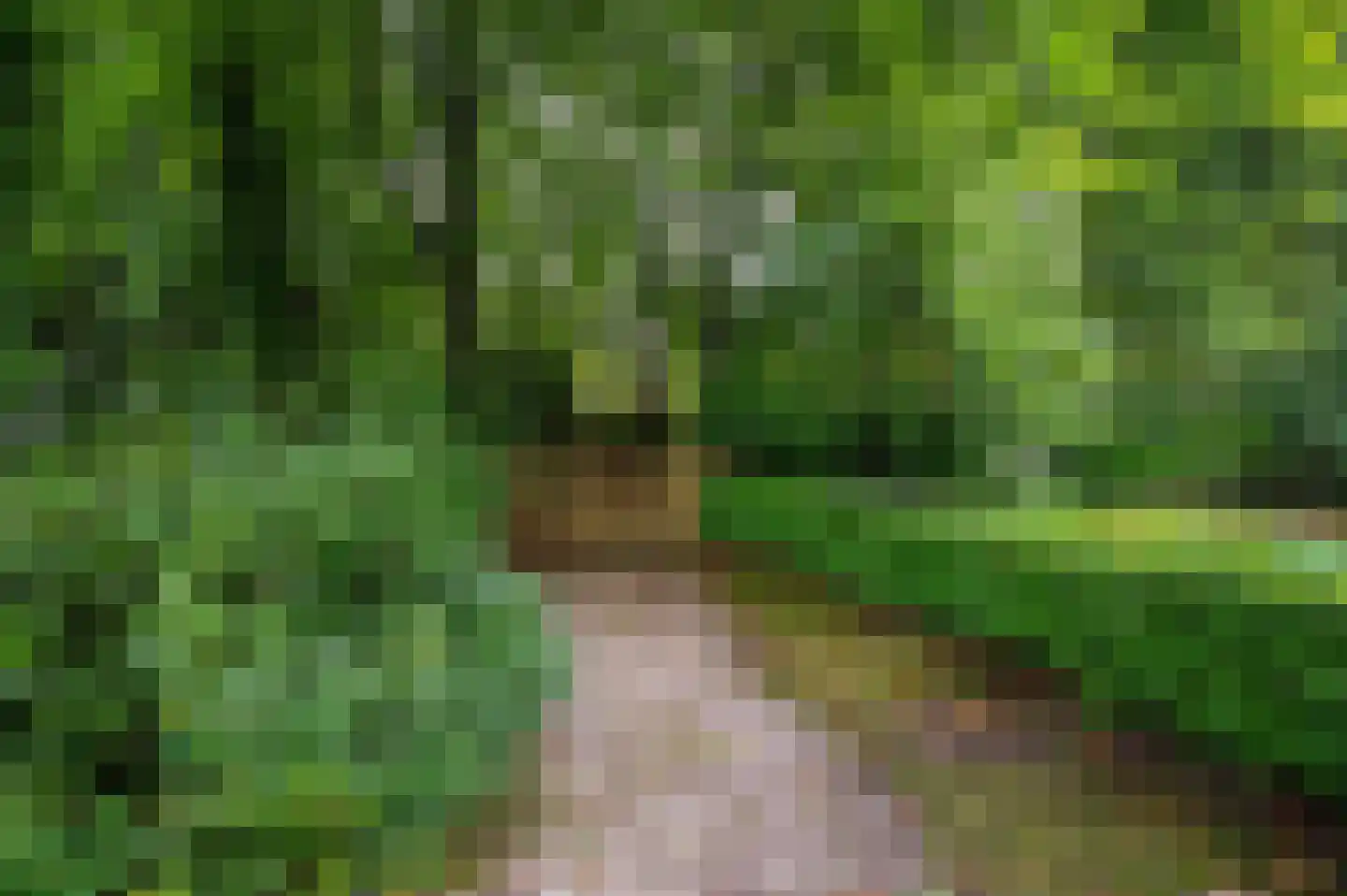 Stoppelbergweg 65 Beekbergen thumbnail 4