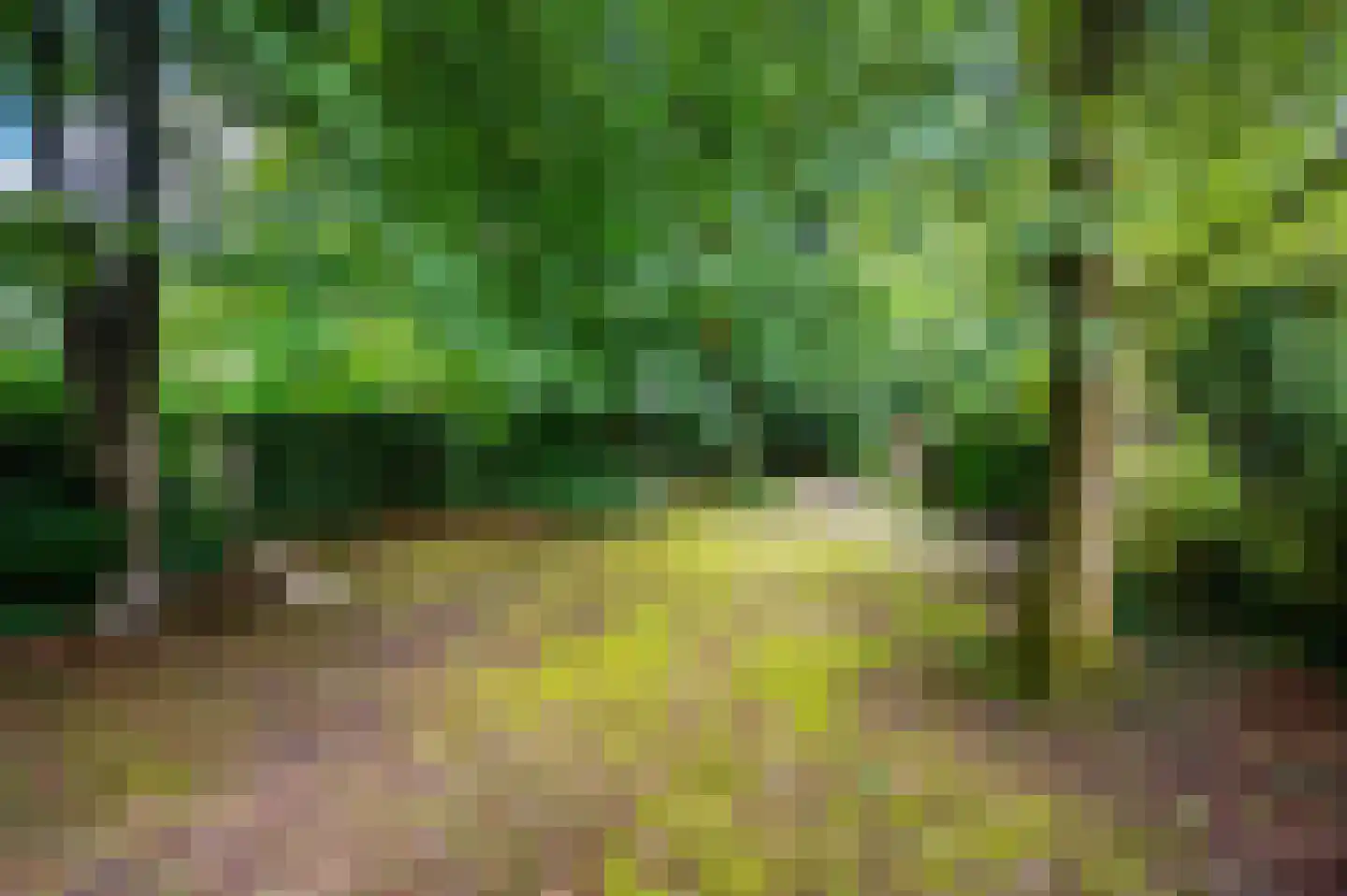 Stoppelbergweg 65 Beekbergen thumbnail 6