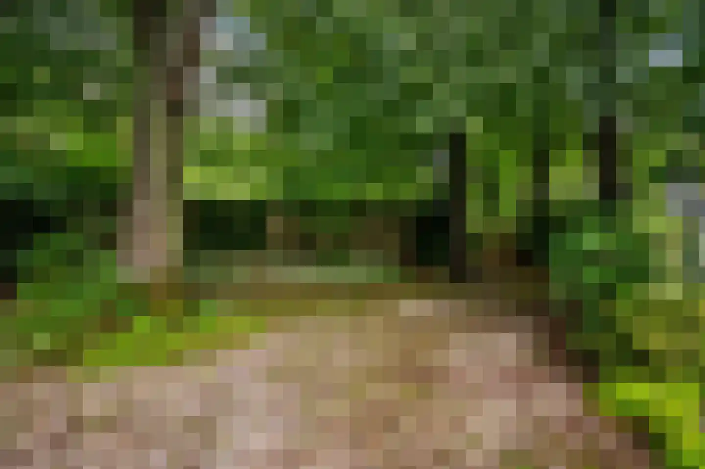 Stoppelbergweg 65 Beekbergen thumbnail 7