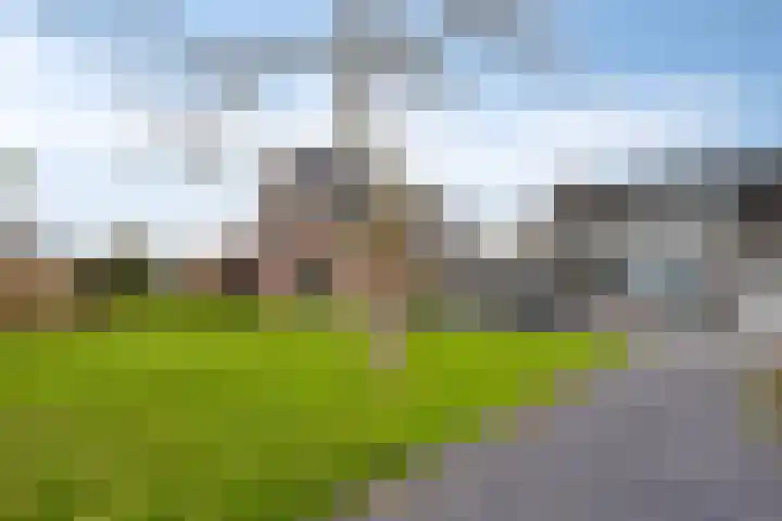 Stoppeldijkveer 9 in Zaamslag