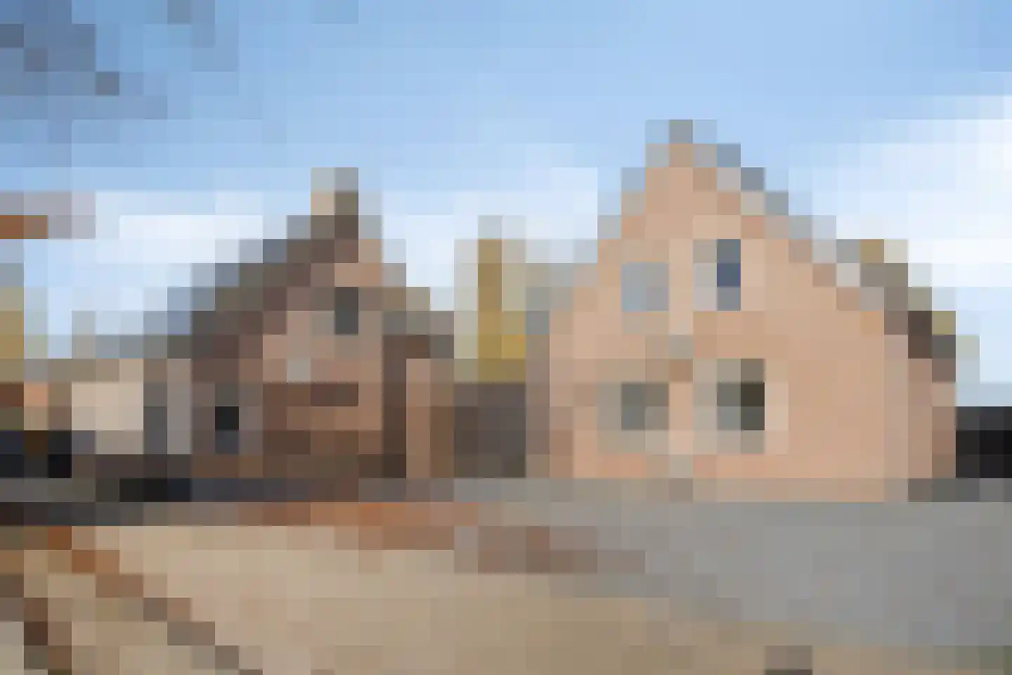 Stoppeldijkveer 9 Zaamslag foto 2