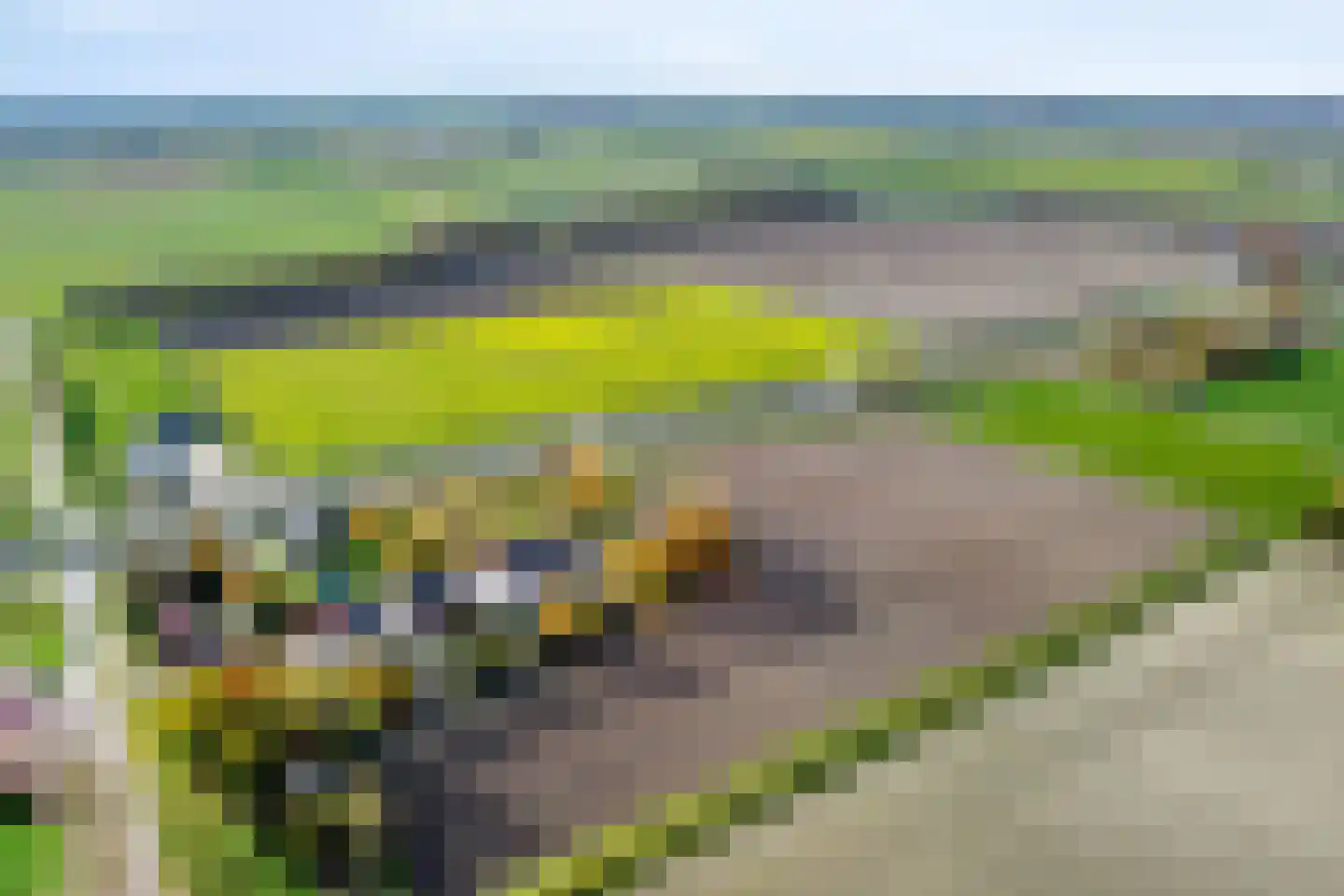Stoppeldijkveer 9 Zaamslag thumbnail 4