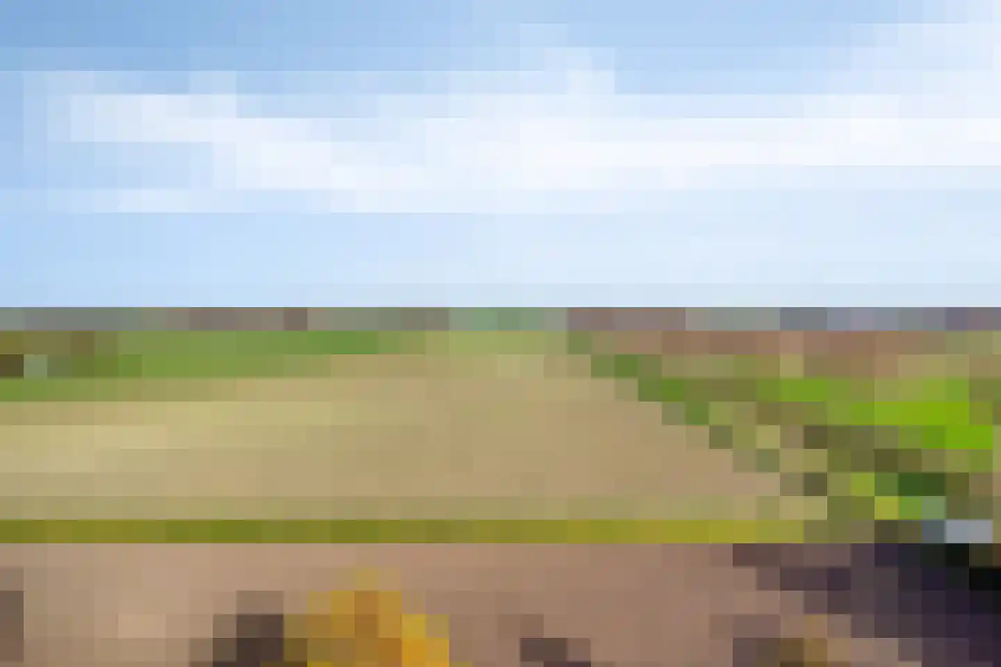 Stoppeldijkveer 9 Zaamslag thumbnail 5