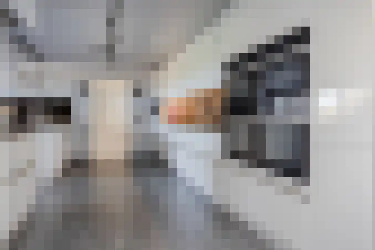 Stoppeldijkveer 9 Zaamslag thumbnail 7