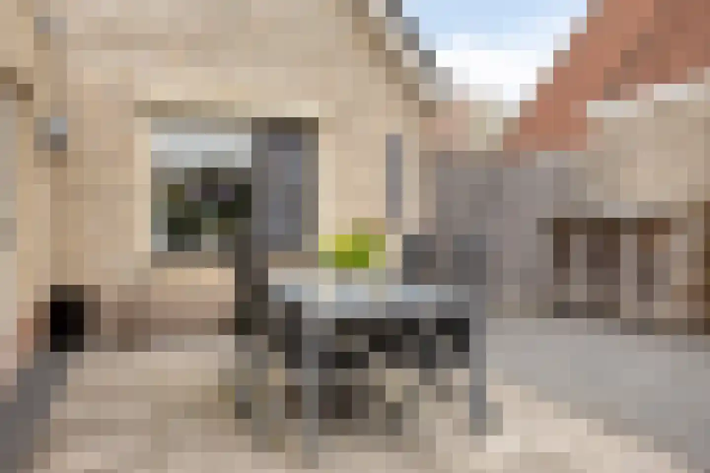 Stoppelland 12 Wierden thumbnail 28