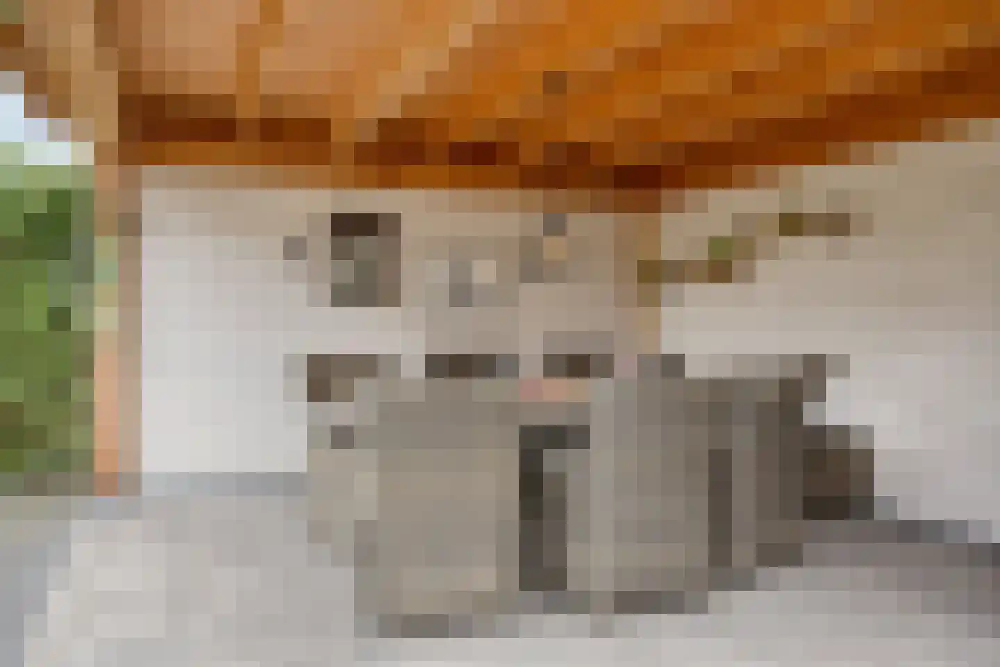 Stoppelland 12 Wierden thumbnail 16