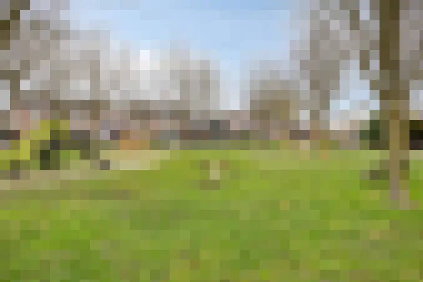 Stoppelland 12 Wierden thumbnail 31