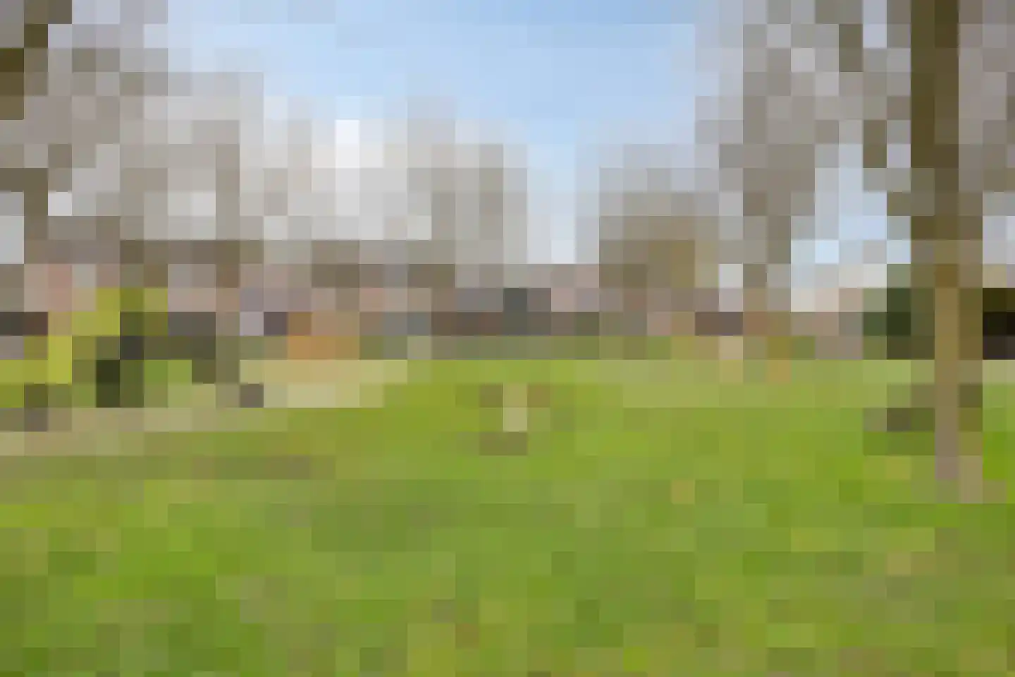 Stoppelland 12 Wierden thumbnail 17