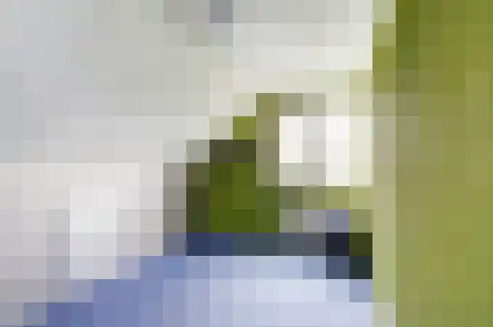 Stoppelland 3 Wierden thumbnail 15