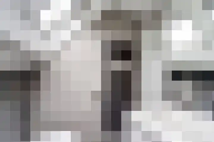 Stoppelland 3 Wierden thumbnail 20