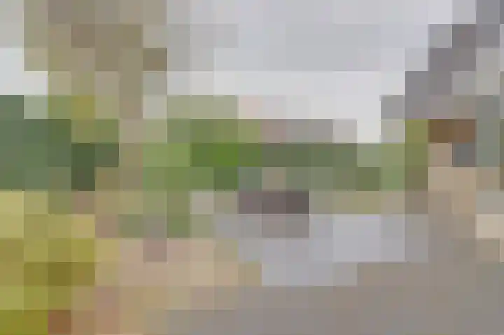 Stoppelland 3 Wierden thumbnail 29