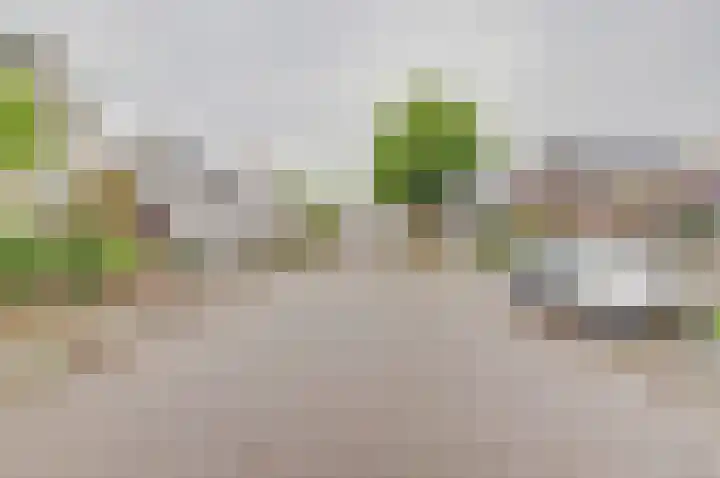 Stoppelland 3 Wierden thumbnail 30