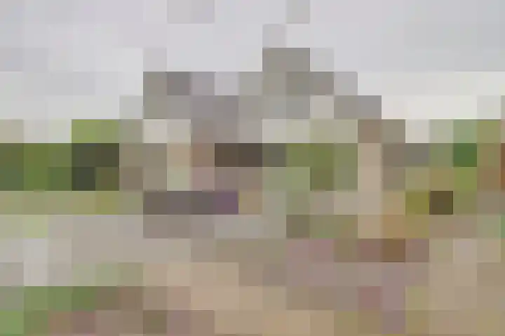 Stoppelland 3 Wierden thumbnail 34