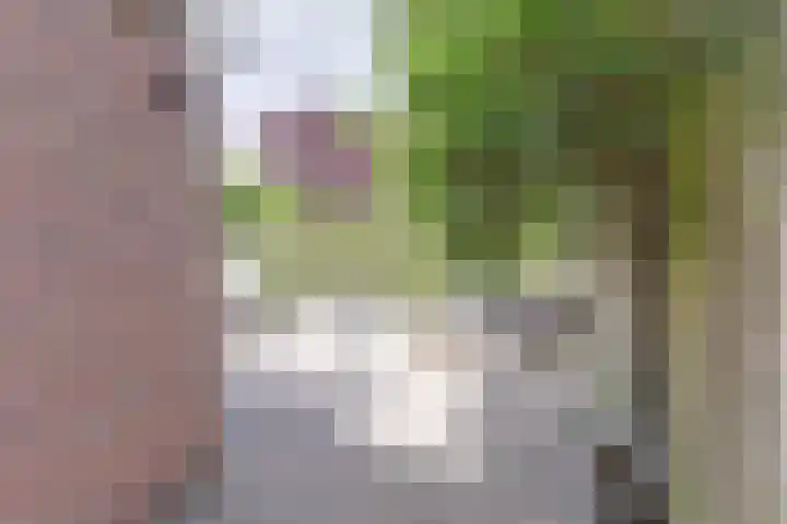 Stoppelland 58 Wierden thumbnail 19