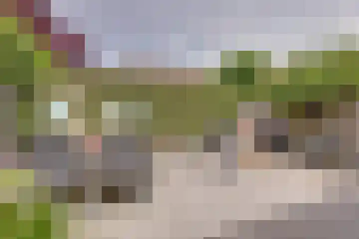 Stoppelland 58 Wierden thumbnail 20