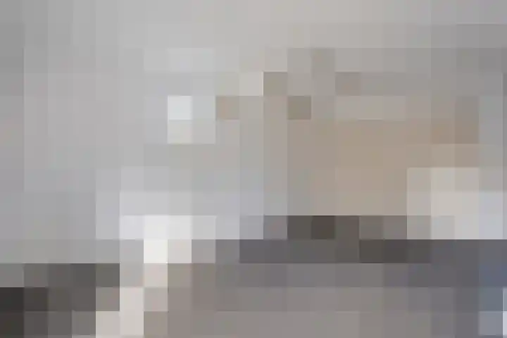 Stoppelland 8 Wierden thumbnail 13