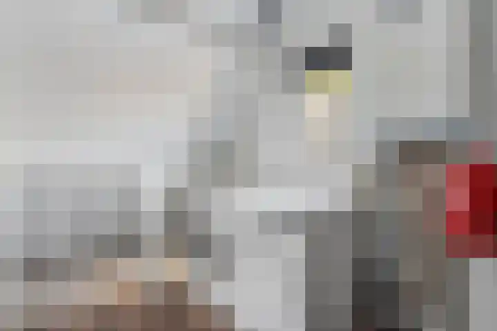 Stoppelland 8 Wierden thumbnail 26