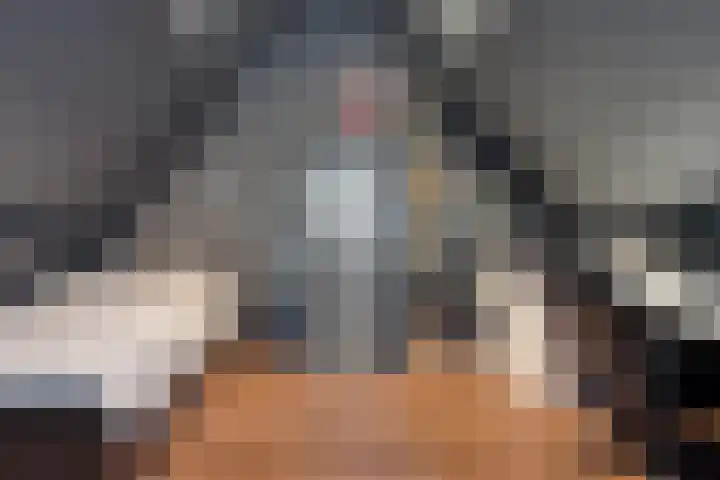 Stoppelland 8 Wierden thumbnail 27