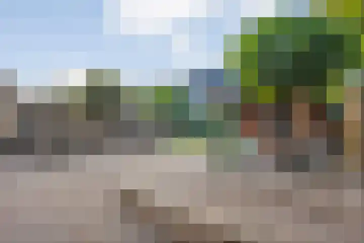 Stoppelland 8 Wierden thumbnail 29