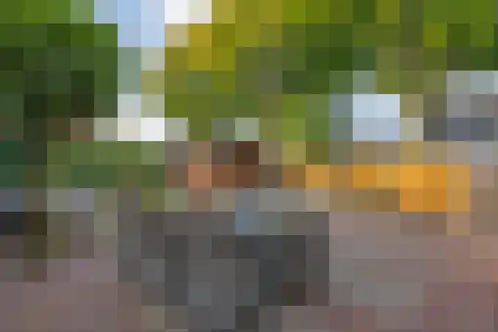 Stoppelland 8 Wierden thumbnail 30