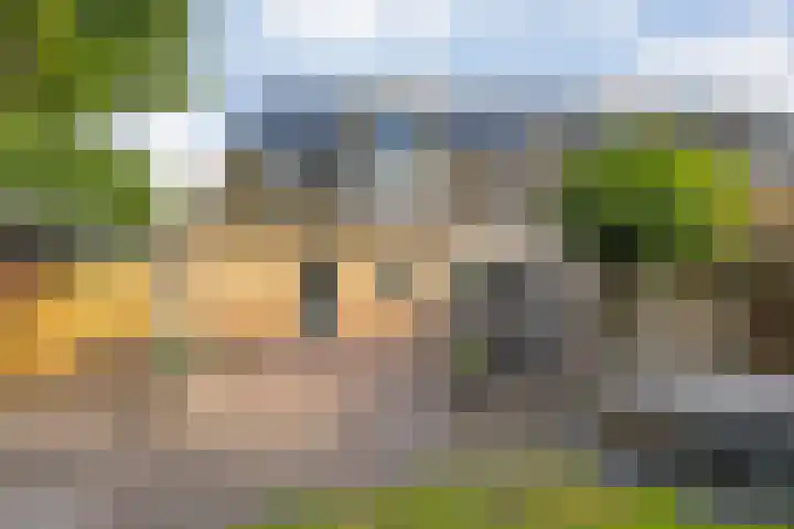 Stoppelland 8 Wierden thumbnail 31
