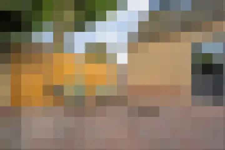 Stoppelland 8 Wierden thumbnail 32