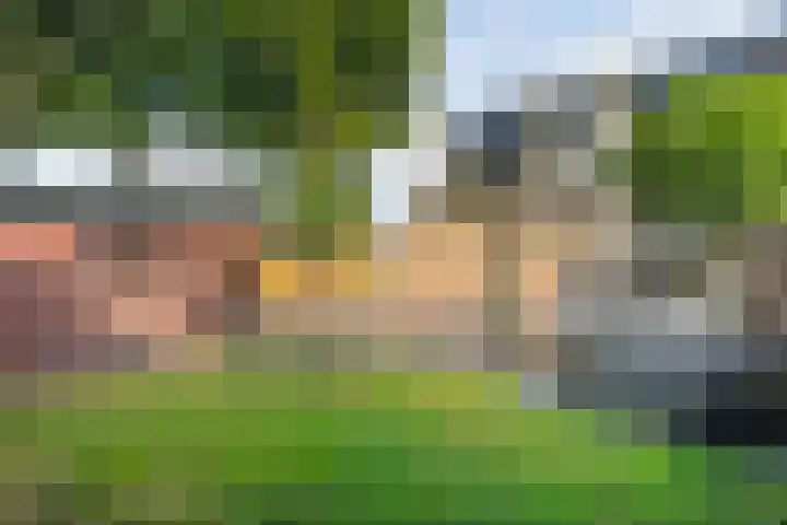 Stoppelland 8 Wierden thumbnail 34