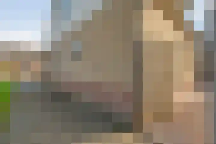 Stoppelland 8 Wierden thumbnail 35