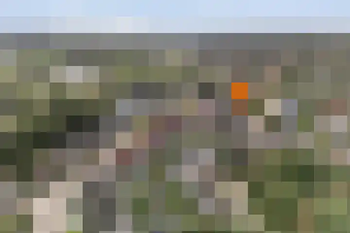Stoppelland 8 Wierden thumbnail 40