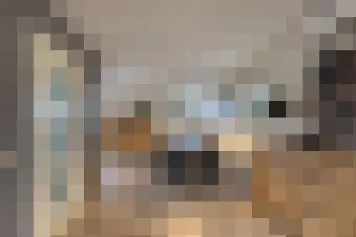 Stoppelmaad 19 Oosterwolde thumbnail 21
