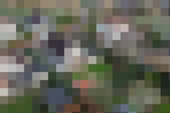 Stoppelmaad 19 Oosterwolde thumbnail 45