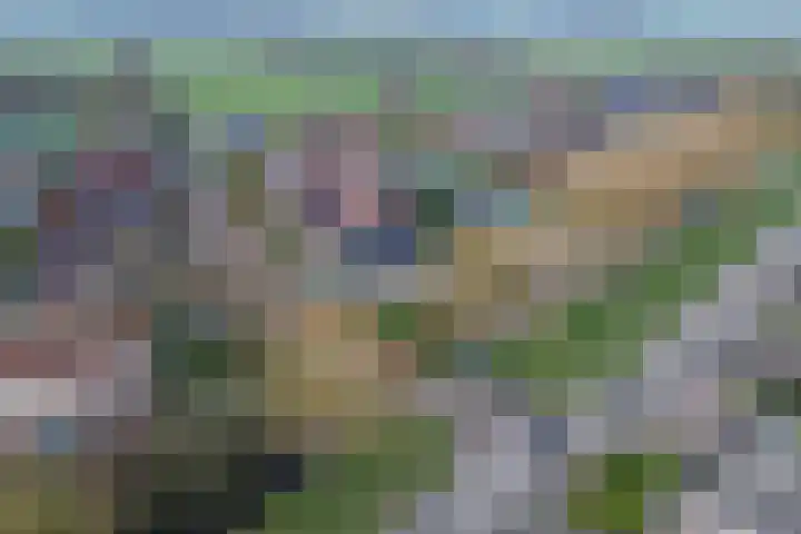 Stoppelmaad 19 Oosterwolde thumbnail 46