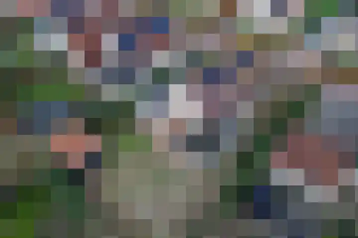 Stoppelmaad 19 Oosterwolde thumbnail 47