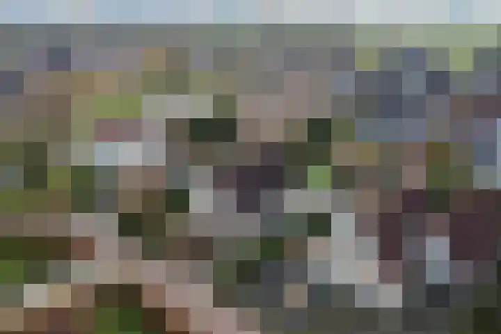Stoppelmaad 19 Oosterwolde thumbnail 7
