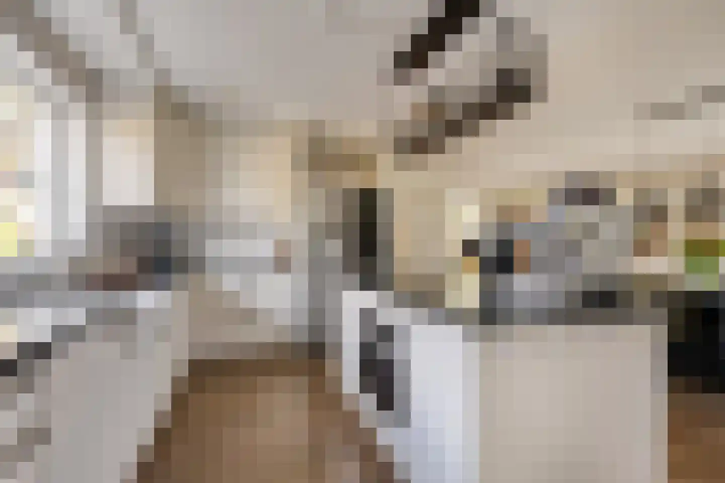 Stoppelmaad 30 Oosterwolde thumbnail 13