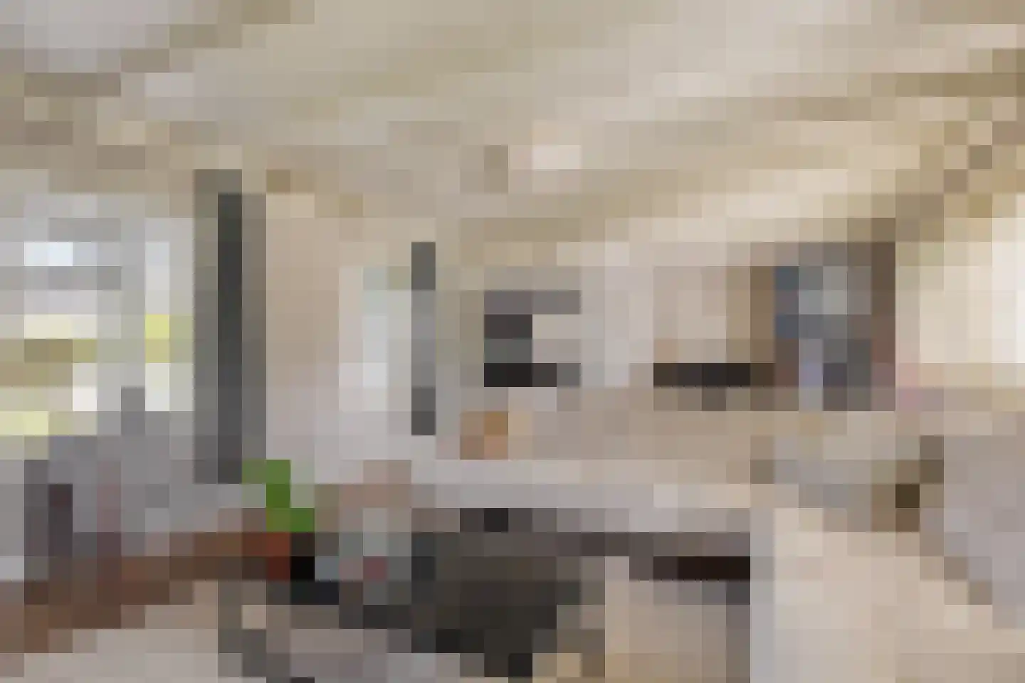 Stoppelmaad 30 Oosterwolde thumbnail 22