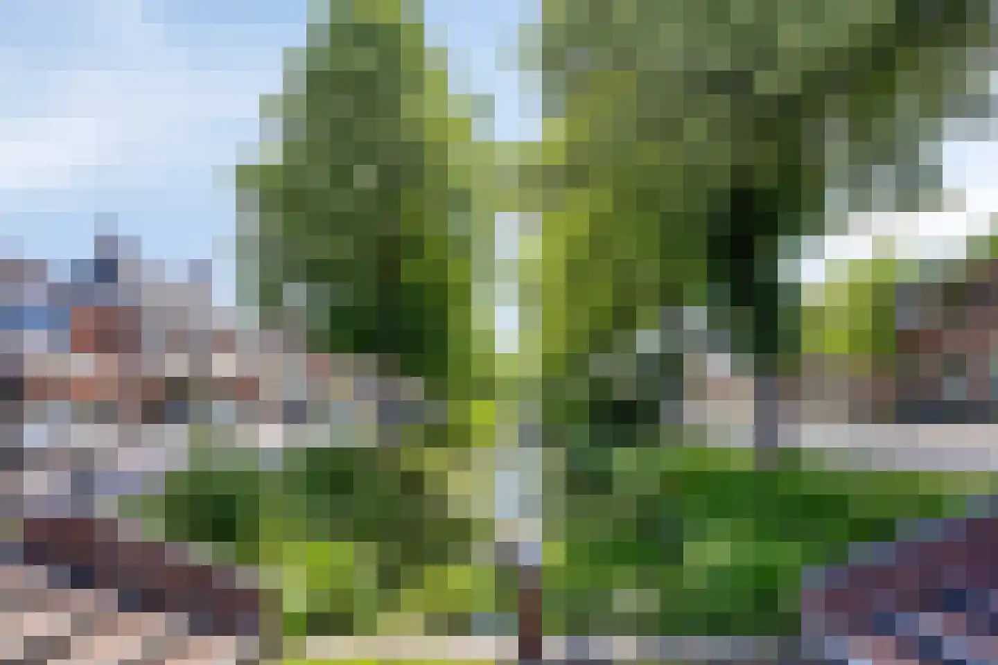 Stoppelmaad 30 Oosterwolde thumbnail 49