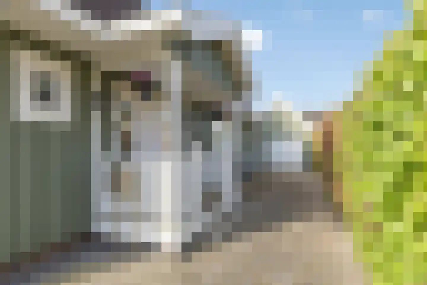 Stoppelmaad 30 Oosterwolde thumbnail 5