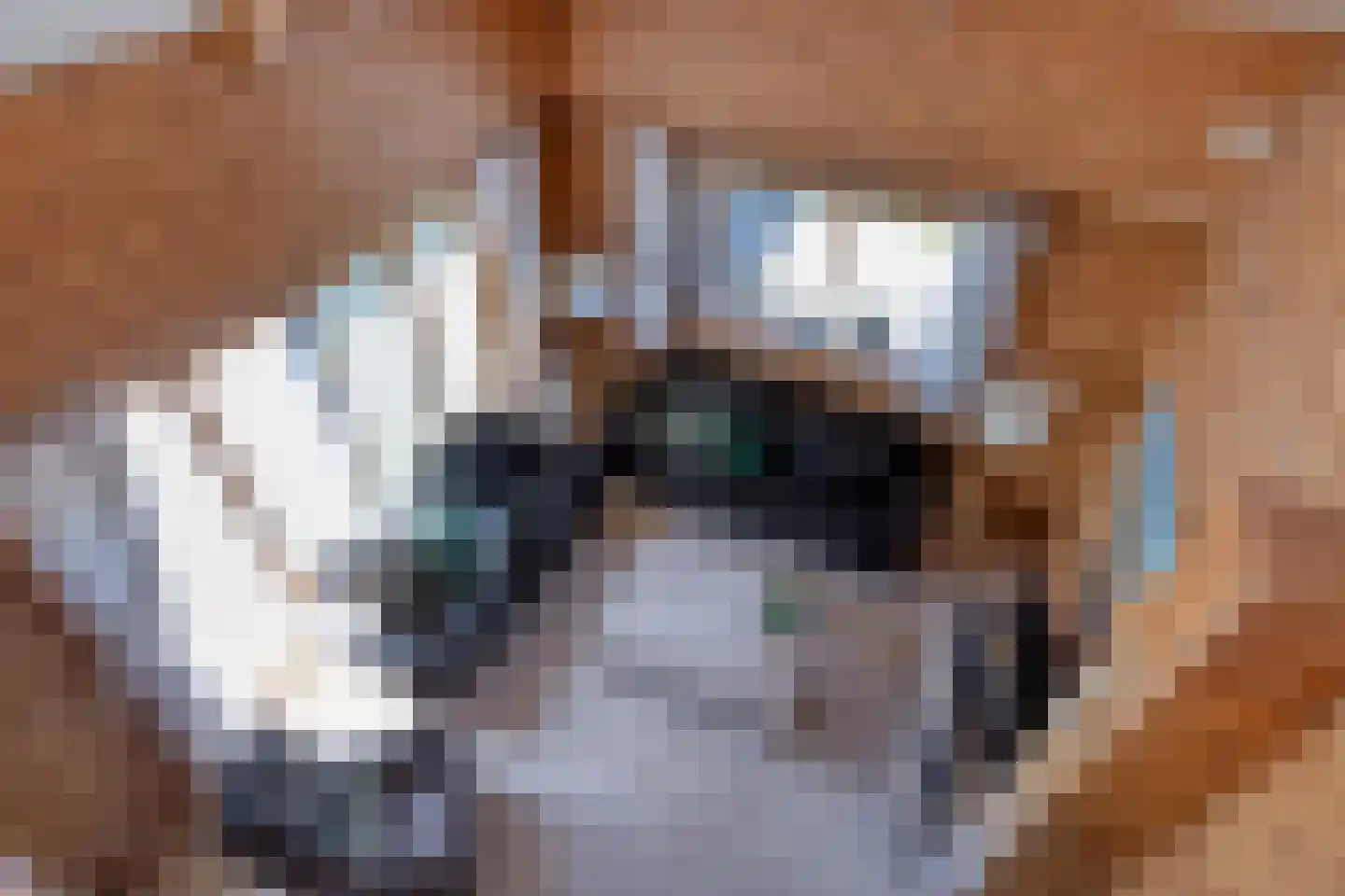 Stoppelmaad 32 Oosterwolde thumbnail 26