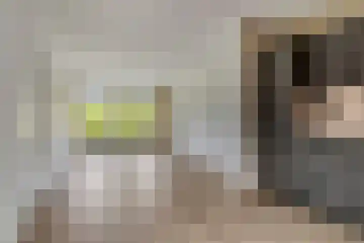 Stoppelmanstraat 43 Wildervank thumbnail 20