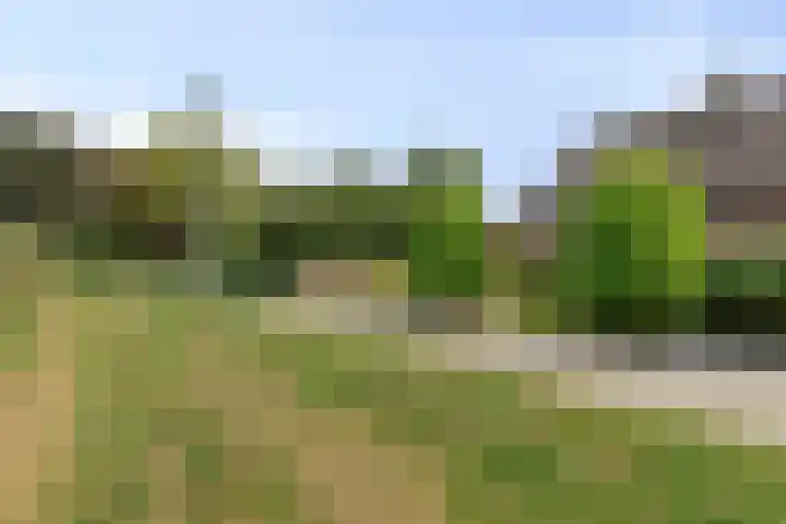 Stoppelmanstraat 43 Wildervank thumbnail 4