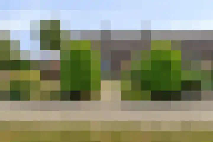 Stoppelmanstraat 43 Wildervank thumbnail 5