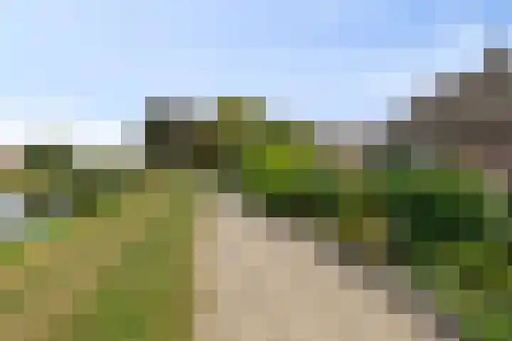 Stoppelmanstraat 43 Wildervank thumbnail 6