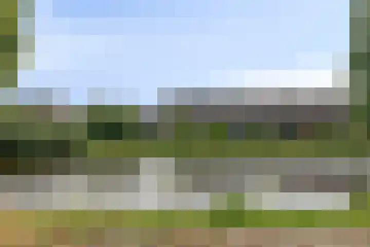 Stoppelmanstraat 43 Wildervank thumbnail 9