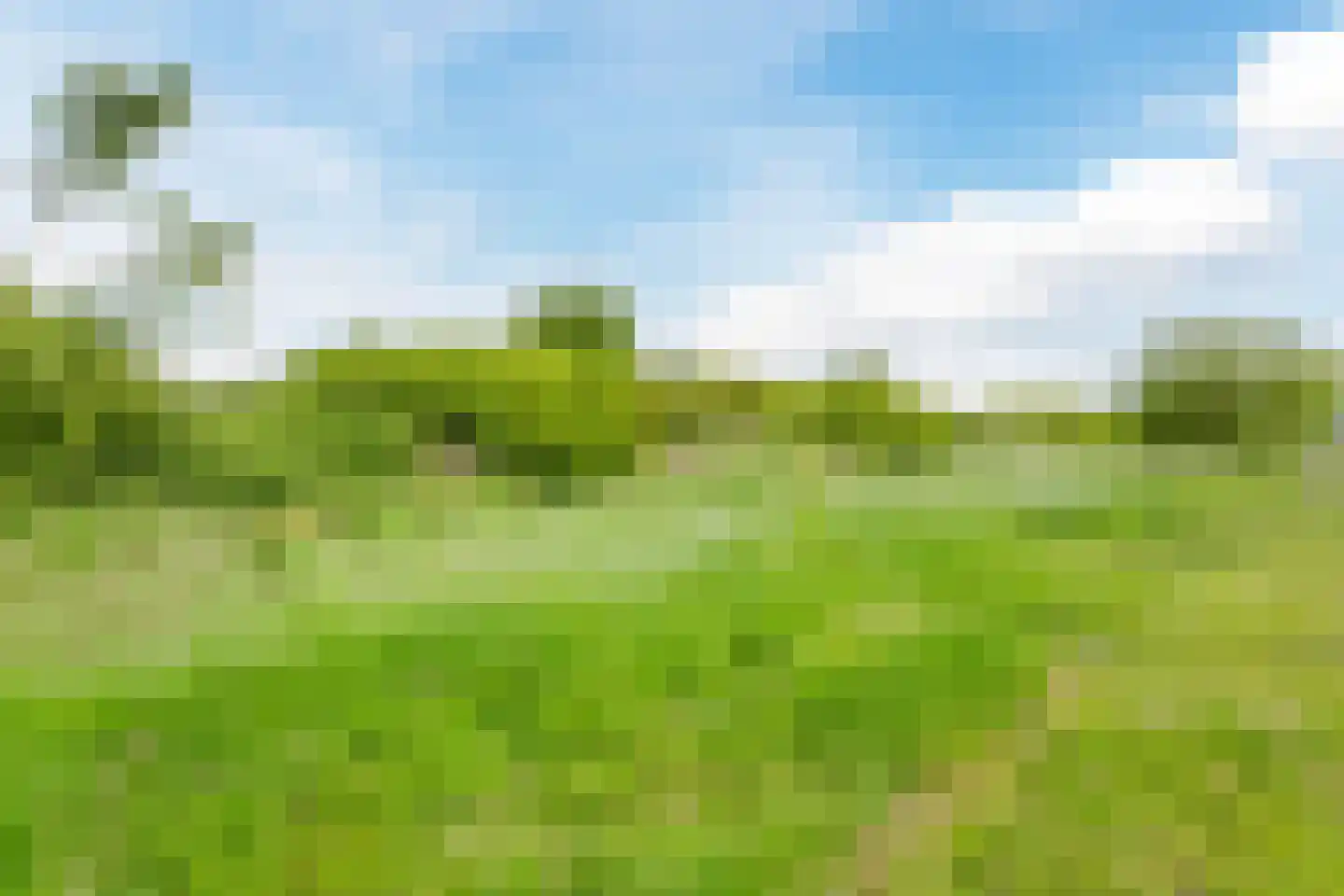 Stopperknoop 16 Almere thumbnail 34